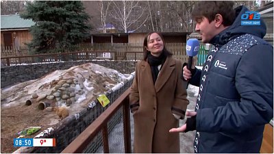 Сурки вышли из спячки — в прямом включении