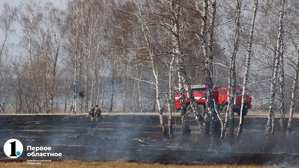 Пожароопасный сезон в Челябинской области начнется 1 апреля