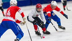 Челябинская область финишировала в восьмерке сильнейших на Спартакиаде молодежи России