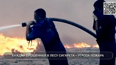 В Челябинской области с 1 апреля начинается пожароопасный сезон