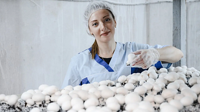 Под Челябинском продают грибную ферму за 65 млн рублей