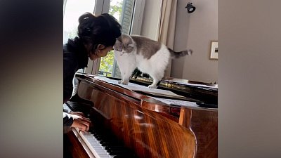 Мех и смех: наездник, ценитель музыки и отличный прыжок