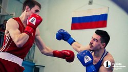 Определились все финалисты чемпионата Челябинской области по боксу