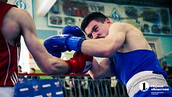 Определились все финалисты чемпионата Челябинской области по боксу