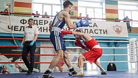 Боксеры Челябинска выиграли командный зачет чемпионата области