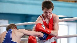 Боксеры Челябинска выиграли командный зачет чемпионата области