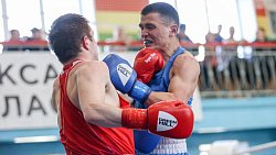 Боксеры Челябинска выиграли командный зачет чемпионата области