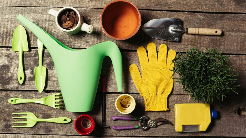 Экономим на покупках перед началом дачного сезона