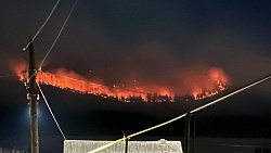 В Челябинской области загорелся хвойный лес