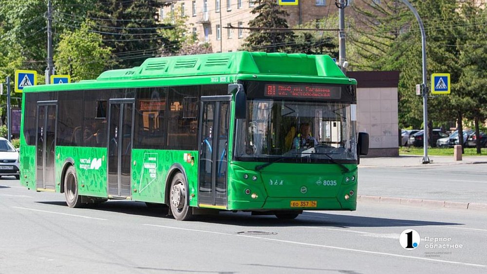 Перевозчики Челябинской агломерации с начала года получили 1 млн рублей штрафов