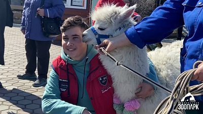 В Челябинском зоопарке волонтеры провели субботник