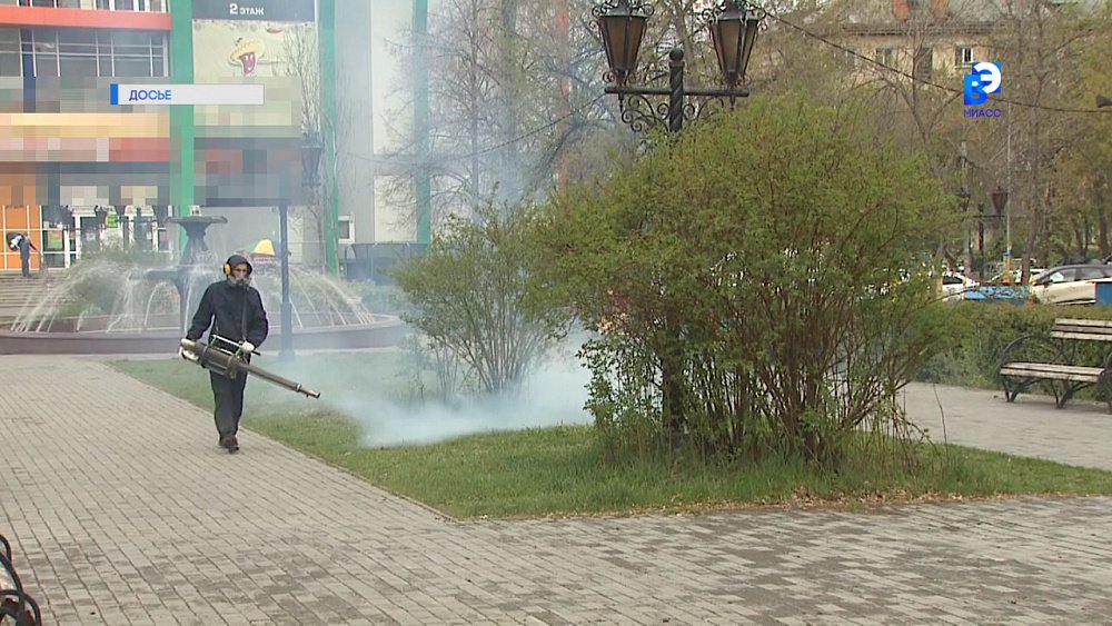 Миасс готовится к обработке от клещей