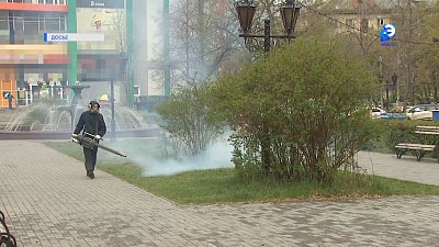 Миасс готовится к обработке от клещей