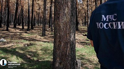 Власти Миасса ввели особый противопожарный режим