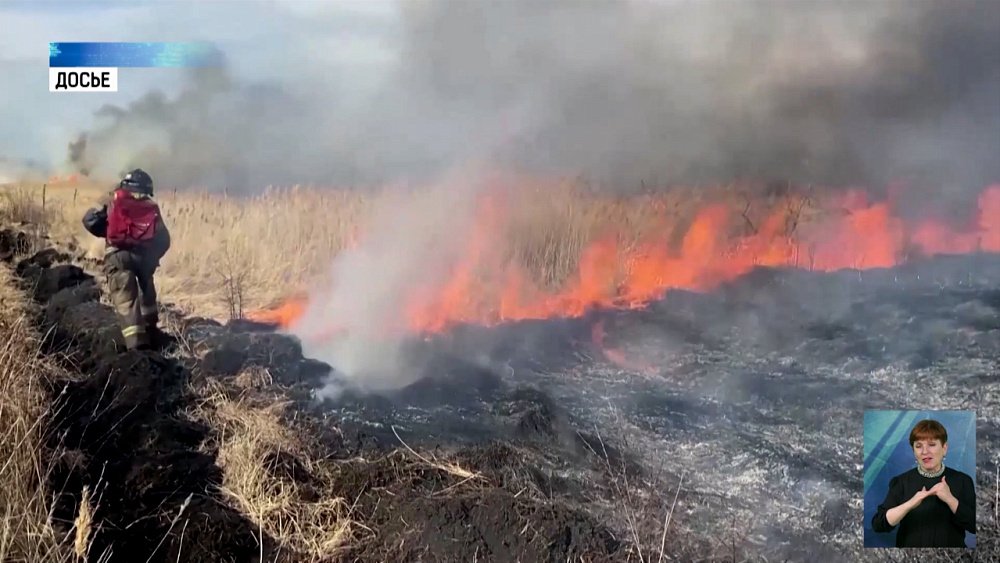 В регионе начали гореть леса