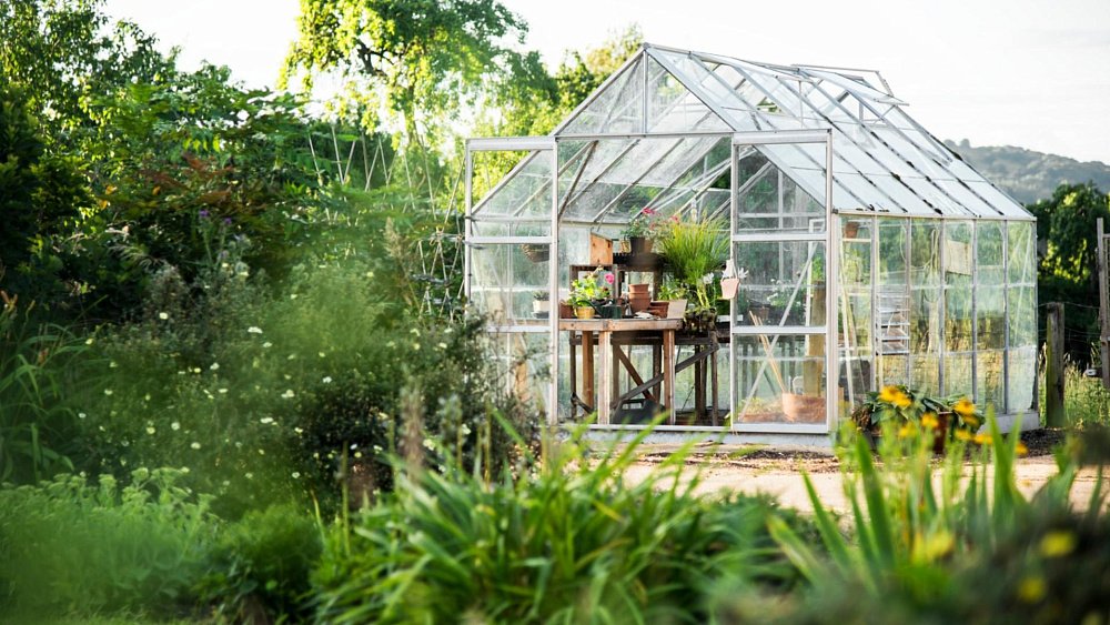 От чего следует отказаться новичкам при планировке садового участка