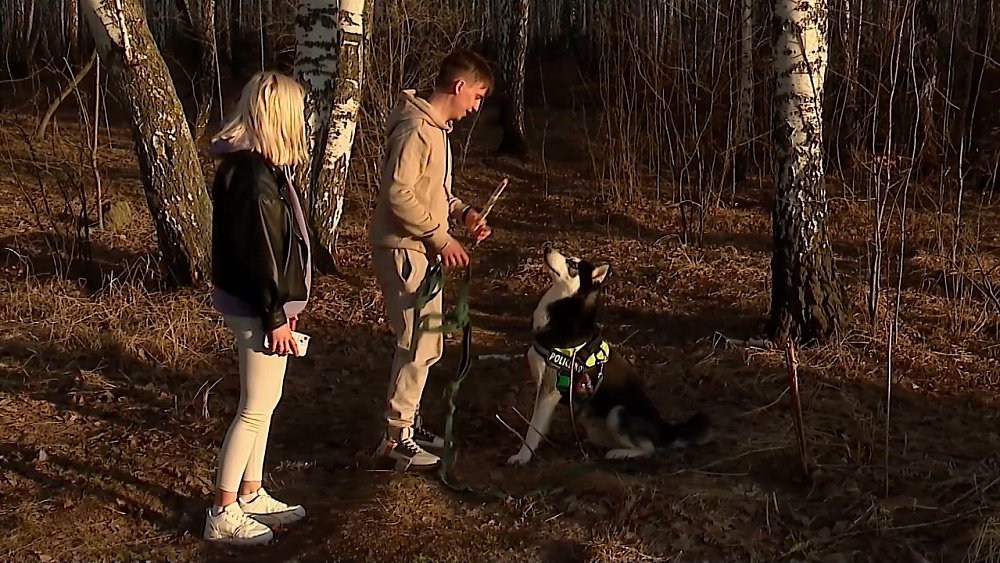 «Время новостей. Итоги»: российские семьи всё чаще переходят на домашнее обучение