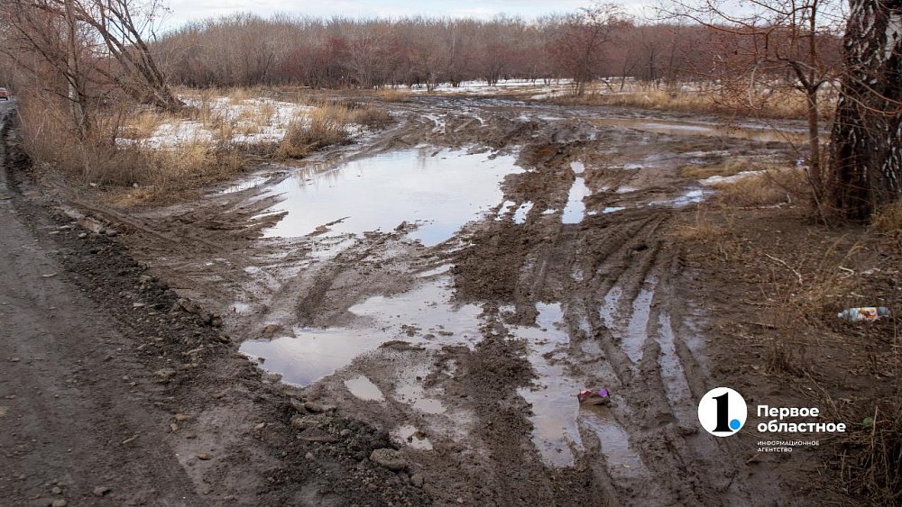 В Челябинской области автобус отказался ездить в деревню из‑за плохой дороги