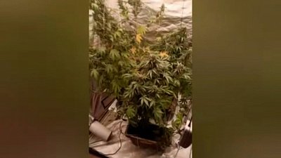 В Челябинске задержали подозреваемого в незаконном обороте наркотиков