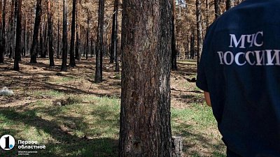 В Челябинской области особый противопожарный режим вводят во всем регионе