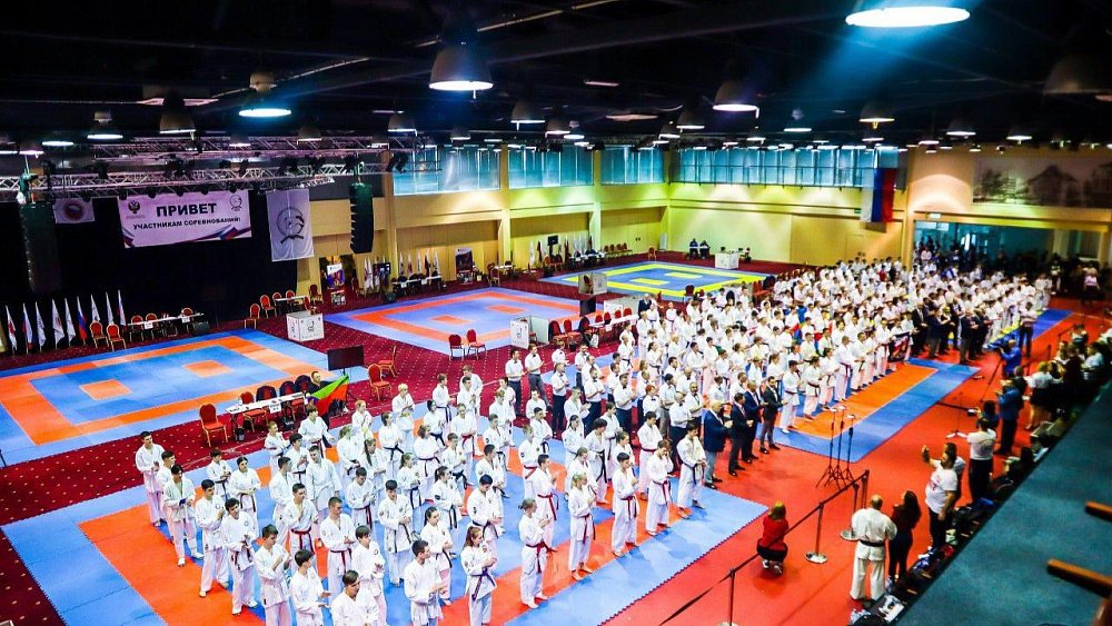 Челябинские спортсмены завоевали 20 медалей первенства России по всестилевому карате
