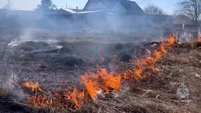 В Челябинской области введен особый противопожарный режим