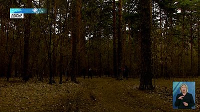 В регионе проводят обработку от клещей