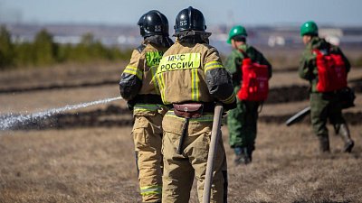 В Челябинске рядом с садовыми участками локализовали крупный пожар