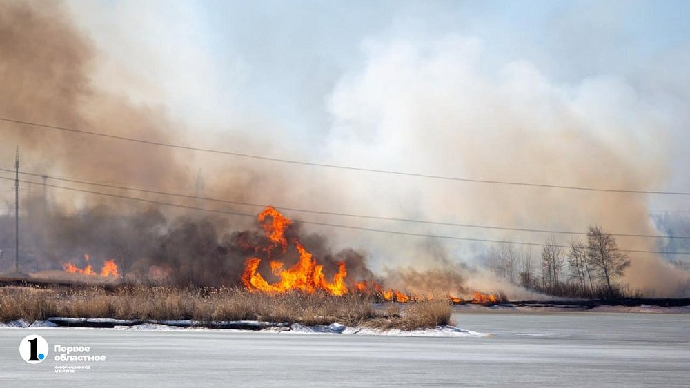 Минэкологии объяснило сильный запах гари в Челябинске ландшафтными пожарами