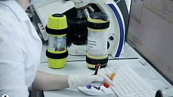 В Челябинске запустили самую крупную в регионе медицинскую лабораторию с пневмопочтой