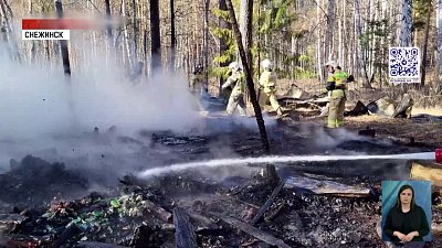 В Снежинске сгорели собачьи вольеры