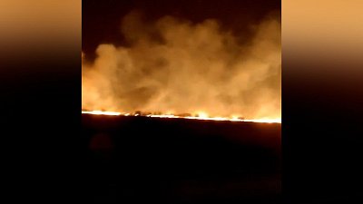 В Еманжелинске загорелась сухая трава