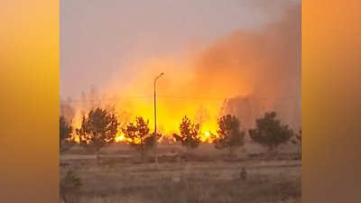 В Сосновском районе ландшафтный пожар попал на видео