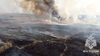 В Троицком районе вспыхнул ландшафтный пожар