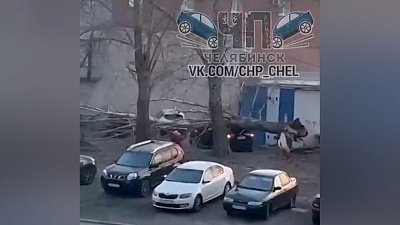 В Челябинске дерево упало на легковой автомобиль