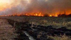 Алексей Текслер напомнил жителям Челябинской области об опасности ландшафтных пожаров
