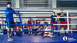 Призовой фонд турнира по боксу «Кубок Танкограда» составит 2,6 миллиона рублей