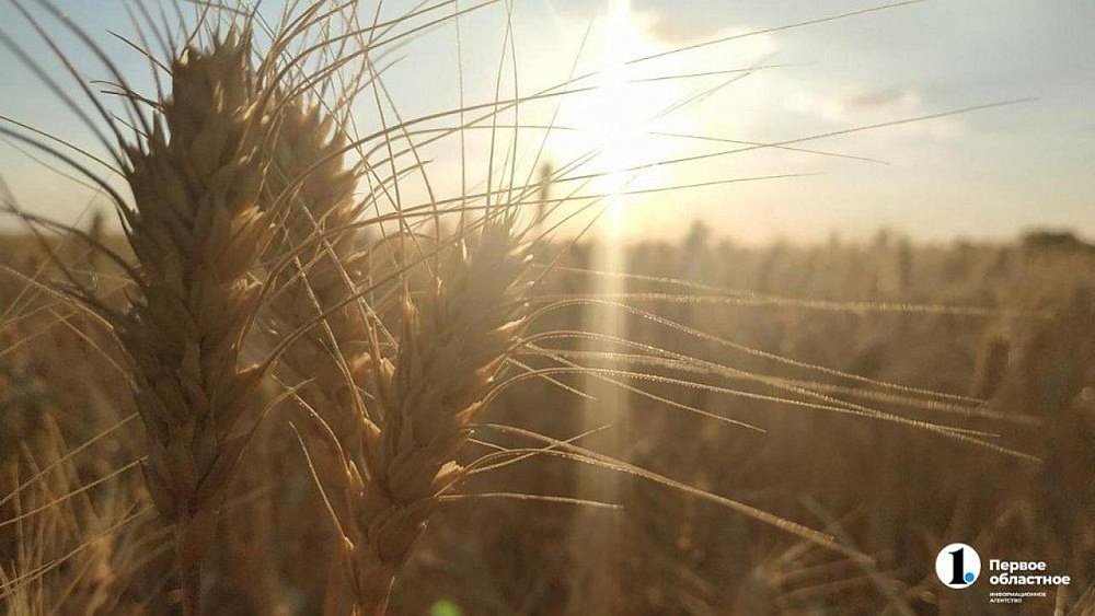 Южноуральским аграриям предстоит цифровое перевооружение своих хозяйств