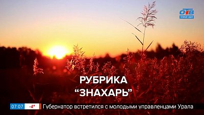 Какие рубрики были раньше в «Нашем утре»? — в сюжете «Обзор первых рубрик»