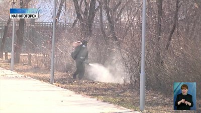 В Магнитогорске проводят обработку от клещей