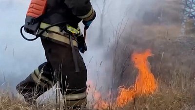 В Челябинской области продолжают бушевать пожары