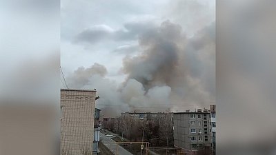 В Троицке умышленно подожгли камыш