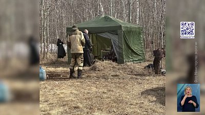 Браконьеры убили лебедей