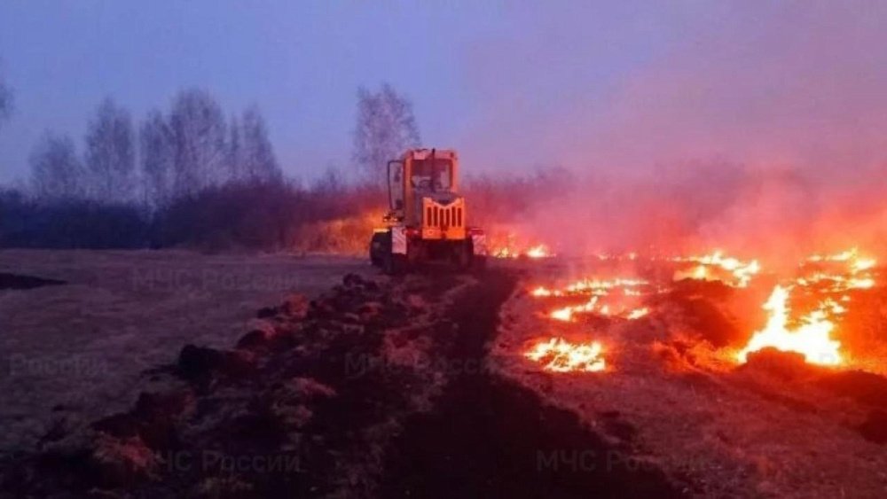 В Кунашакском районе лесной пожар остановили в считанных десятках метров от границы деревни
