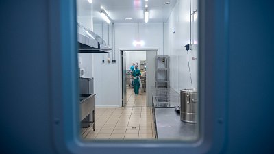 Из-за массового заражения сальмонеллезом в Челябинске закрыли доставку суши