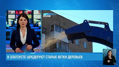 В Златоусте шредеруют старые ветки деревьев
