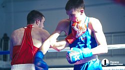 Семь челябинских боксеров победами завершили свои поединки на Кубке Танкограда