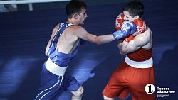 Семь челябинских боксеров победами завершили свои поединки на Кубке Танкограда