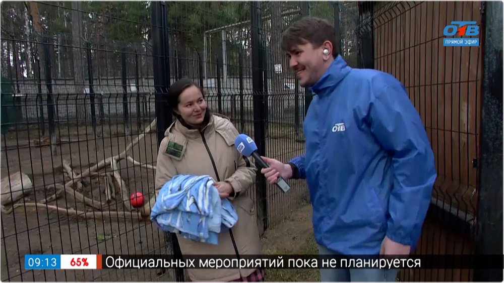 Помощь зоопарку в прямом включении