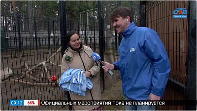 Помощь зоопарку в прямом включении